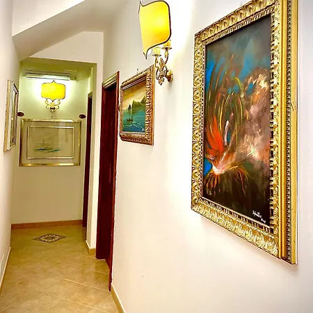 Cute - Hvc 리파리